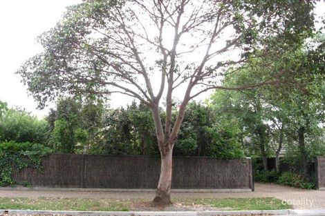 9 Beatty St, Linden Park, SA 5065