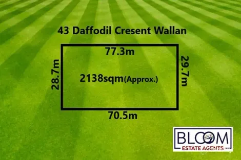 Property photo of 43 Daffodil Crescent Wallan VIC 3756