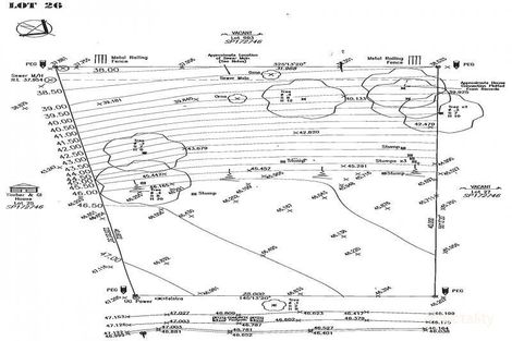 Property photo of 21 McAuley Crescent Augustine Heights QLD 4300