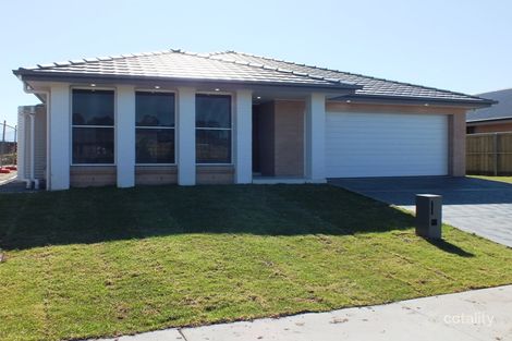 Property photo of 38 Warbler Avenue Aberglasslyn NSW 2320