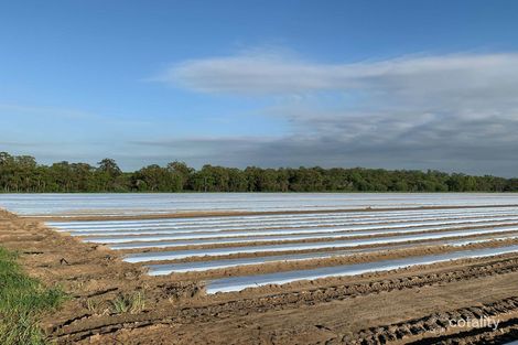 209 Mahogany Creek Rd, Elliott, QLD 4670