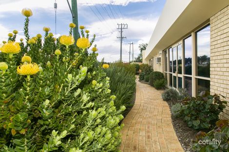 3/37 Dellamarta Rd, Wangara, WA 6065