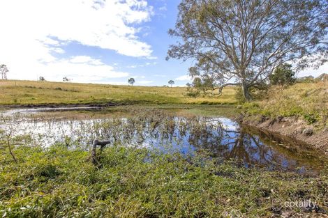Property photo of 251 Hasthorpe Road Kandanga QLD 4570