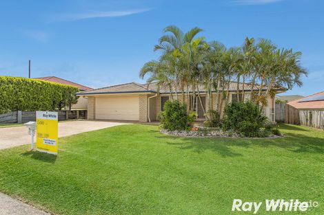 Property photo of 74 Whitehorse Road Dakabin QLD 4503