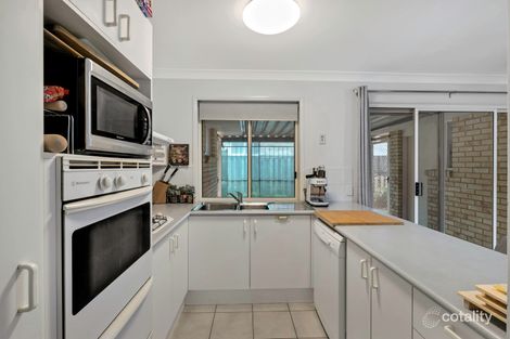 Property photo of 19 Thoms Avenue Boondall QLD 4034