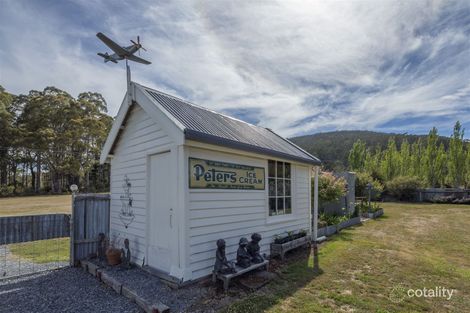 Property photo of 701 Elephant Pass Road Gray TAS 7215