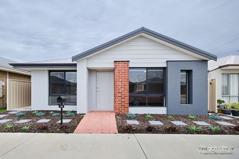 Property photo of 19 Hartland Grove Hammond Park WA 6164