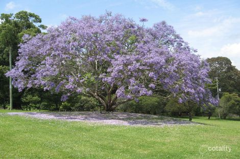 Property photo of 182 Scarrabelottis Road Nashua NSW 2479