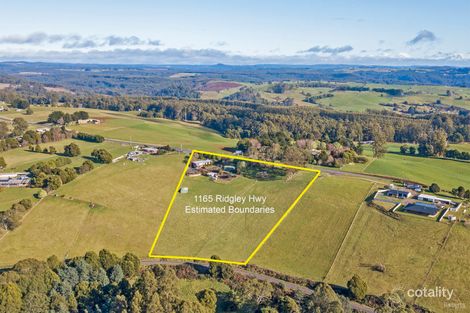 1165 Ridgley Hwy, Ridgley, TAS 7321