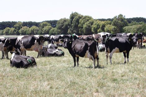 257 Slatterys Rd, Woolsthorpe, VIC 3276