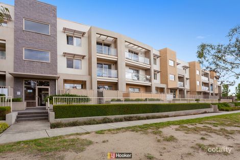 Property photo of 41/31 Thynne Street Bruce ACT 2617