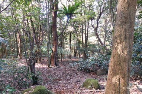 Property photo of 335 Repeater Station Road Springbrook QLD 4213