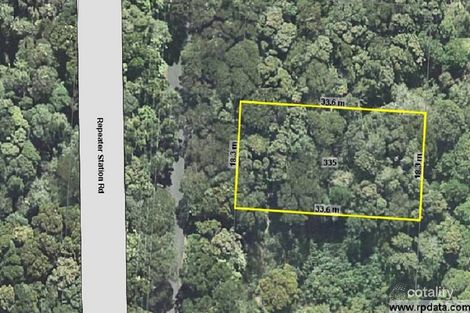 Property photo of 335 Repeater Station Road Springbrook QLD 4213
