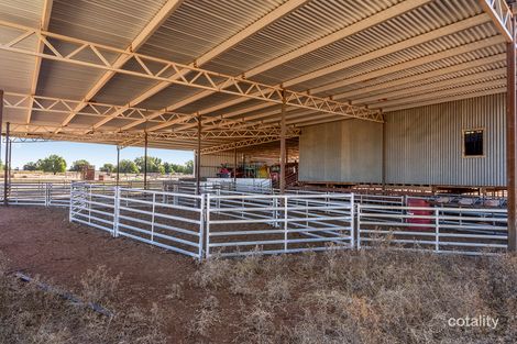 Property photo of 4229 Bobadah Road Bobadah NSW 2877