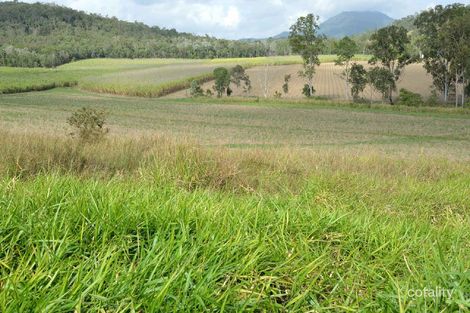 3667 Bruce Hwy, Kuttabul, QLD 4741