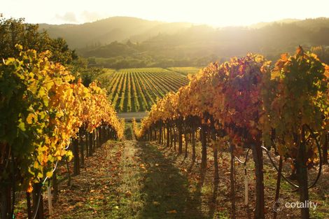 60 Aitken Rd, Wandin East, VIC 3139