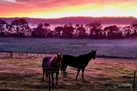 Property photo of 21B School Road Sarsfield VIC 3875