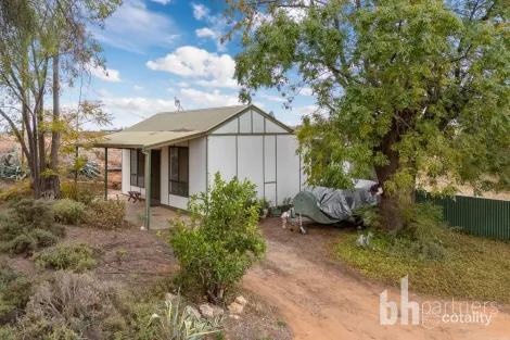 Property photo of 275 Puddletown Road Winkie SA 5343