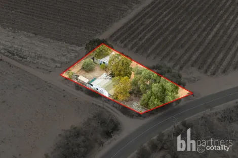 Property photo of 275 Puddletown Road Winkie SA 5343