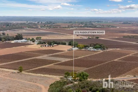 Property photo of 275 Puddletown Road Winkie SA 5343