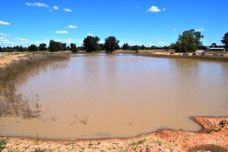 Property photo of 3665 Gwabegar Road Gwabegar NSW 2356