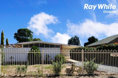 Property photo of 7 Grovely Street Elizabeth Vale SA 5112