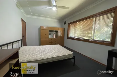 Property photo of 39 Naughton Avenue Birmingham Gardens NSW 2287