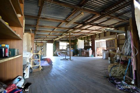 Property photo of 41 Hamilton Road Dalveen QLD 4374