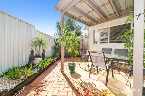 Property photo of 2/14-16 Tolman Court Maroochydore QLD 4558