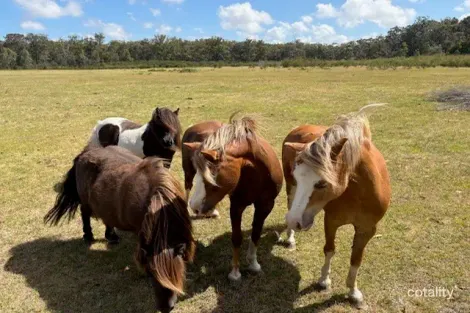 612 Old Rosedale Rd S, Woodside, VIC 3874