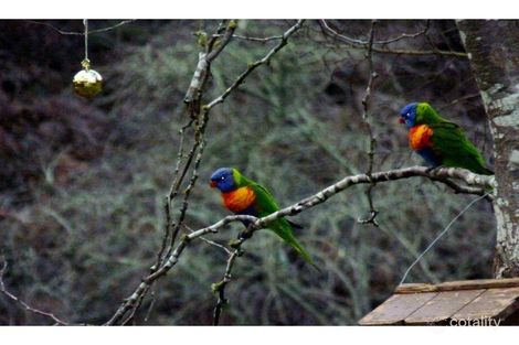 Property photo of 38 Sturt Grove Upper Sturt SA 5156