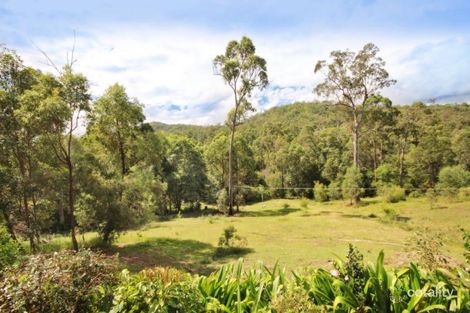 Property photo of 63 Tallowwood Road Austinville QLD 4213