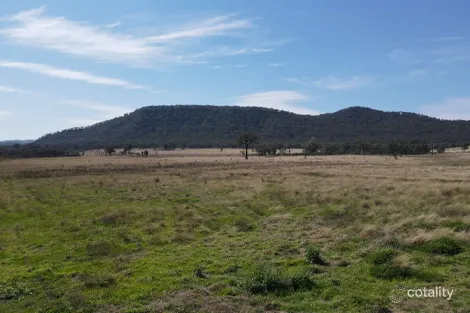 1022 Ridgelands Rd, Manobalai, NSW 2333