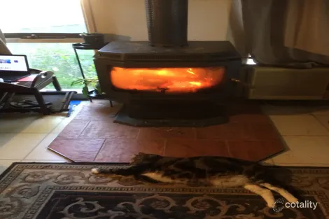 Property photo of 15 Darrambal Drive Springdale Heights NSW 2641