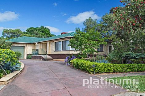 6 Adina Ct, Modbury North, SA 5092