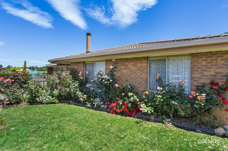 Property photo of 12 Ballantine Street Bairnsdale VIC 3875