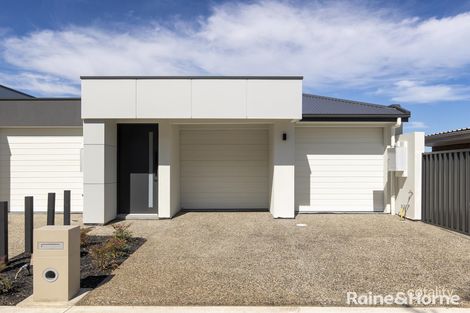 2b Avon St, Kurralta Park, SA 5037