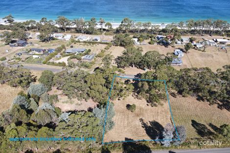 Property photo of 21 Dunn Drive Surveyors Bay TAS 7116