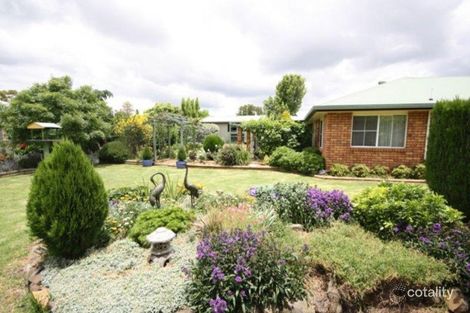 Property photo of 71 Arnold Street Allora QLD 4362