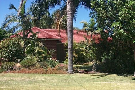 11 Geneff St, Innaloo, WA 6018