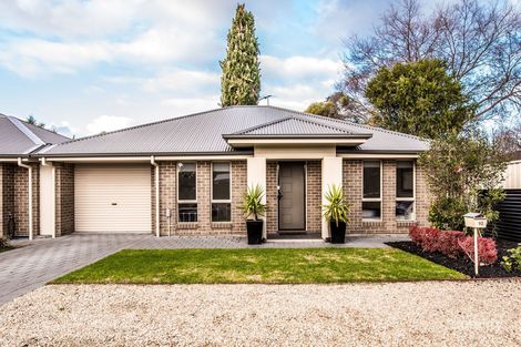 Property photo of 10 Raphael Crescent Morphett Vale SA 5162
