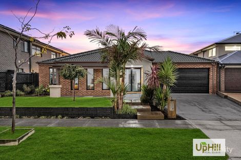 13 Aminya Dr, Clyde North, VIC 3978