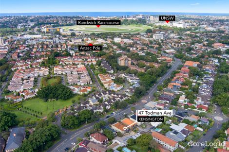 Property photo of 47 Todman Avenue Kensington NSW 2033