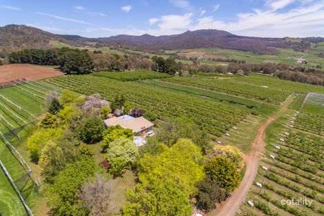 189 Wallace Lane, Canobolas, NSW 2800