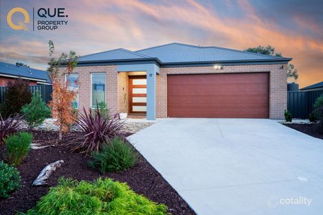 17 Potoroo Ave, Thurgoona, NSW 2640