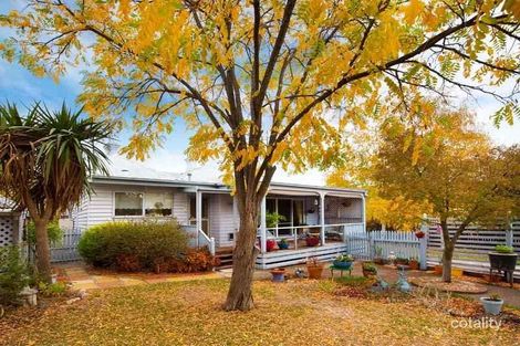 Property photo of 41 Berkeley Street Castlemaine VIC 3450