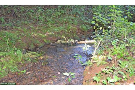 Property photo of 1478 Hinterland Way Bangalow NSW 2479