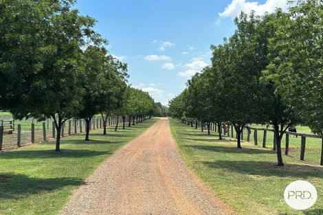 470 Dalswinton Rd, Dalswinton, NSW 2328