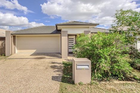 Property photo of 237 Cedar Road Redbank Plains QLD 4301
