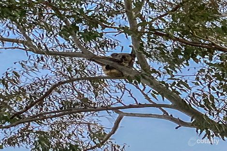 Property photo of 656 Clarendon Road Clarendon QLD 4311